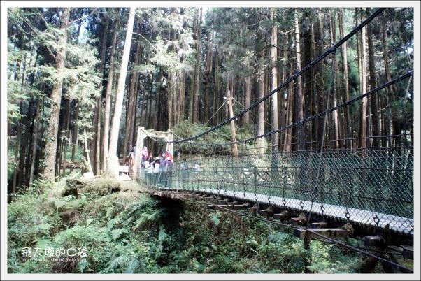 【嘉義】2013阿里山櫻花季(3/15~4/15)。分享3/9最新花況,吉野櫻の櫻王已經開了哦! @飛天璇的口袋 【嘉義】2013阿里山櫻花季(3/15~4/15)。分享3/9最新花況,吉野櫻の櫻王已經開了哦! @飛天璇的口袋