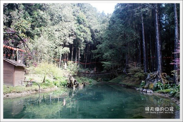 【嘉義】2013阿里山櫻花季(3/15~4/15)。分享3/9最新花況,吉野櫻の櫻王已經開了哦! @飛天璇的口袋 【嘉義】2013阿里山櫻花季(3/15~4/15)。分享3/9最新花況,吉野櫻の櫻王已經開了哦! @飛天璇的口袋