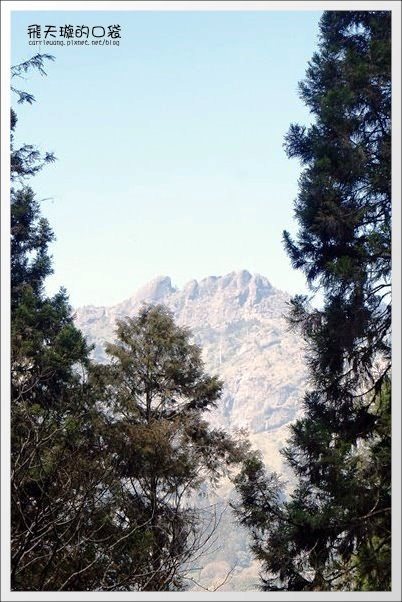 【嘉義】2013阿里山櫻花季(3/15~4/15)。分享3/9最新花況,吉野櫻の櫻王已經開了哦! @飛天璇的口袋 【嘉義】2013阿里山櫻花季(3/15~4/15)。分享3/9最新花況,吉野櫻の櫻王已經開了哦! @飛天璇的口袋