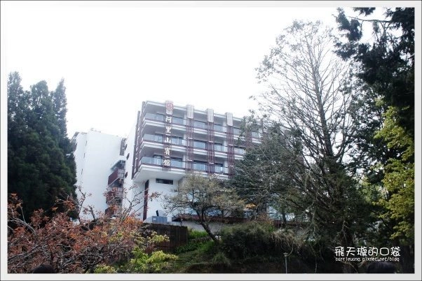 【嘉義】2013阿里山櫻花季(3/15~4/15)。分享3/9最新花況,吉野櫻の櫻王已經開了哦! @飛天璇的口袋 【嘉義】2013阿里山櫻花季(3/15~4/15)。分享3/9最新花況,吉野櫻の櫻王已經開了哦! @飛天璇的口袋