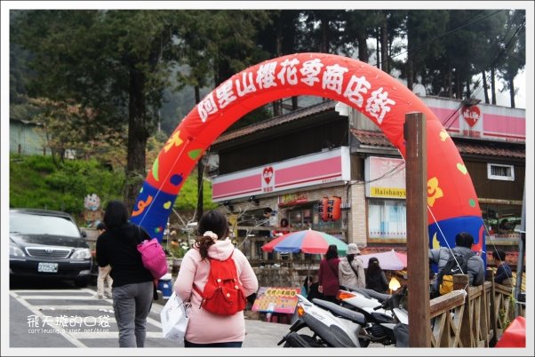 【嘉義】2013阿里山櫻花季(3/15~4/15)。分享3/9最新花況,吉野櫻の櫻王已經開了哦! @飛天璇的口袋 【嘉義】2013阿里山櫻花季(3/15~4/15)。分享3/9最新花況,吉野櫻の櫻王已經開了哦! @飛天璇的口袋