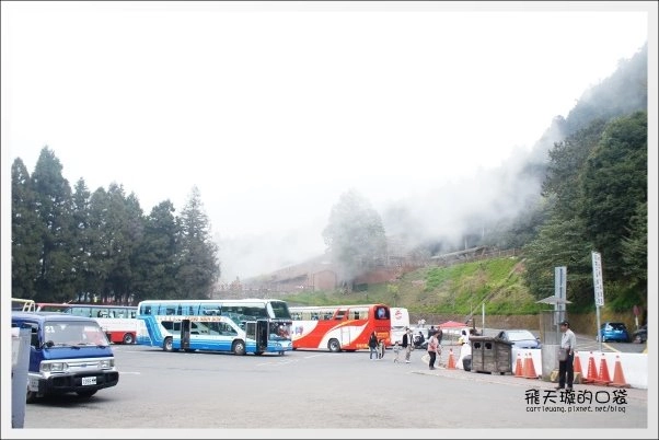 【嘉義】2013阿里山櫻花季(3/15~4/15)。分享3/9最新花況,吉野櫻の櫻王已經開了哦! @飛天璇的口袋 【嘉義】2013阿里山櫻花季(3/15~4/15)。分享3/9最新花況,吉野櫻の櫻王已經開了哦! @飛天璇的口袋