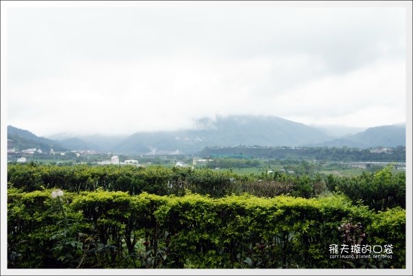 【南投旅遊景點】埔里牛耳藝術渡假村。2013桐花季最新花況 @飛天璇的口袋 【南投旅遊景點】埔里牛耳藝術渡假村。2013桐花季最新花況 @飛天璇的口袋