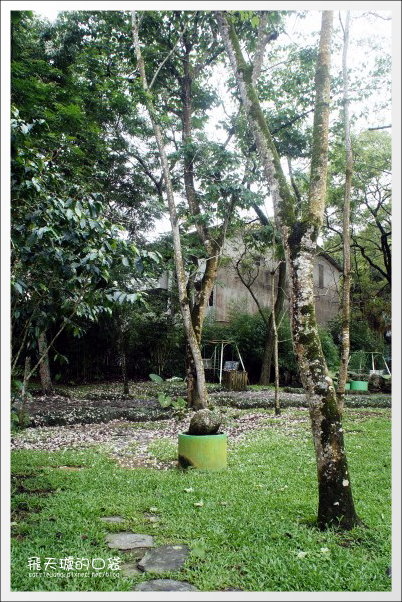 【南投旅遊景點】埔里牛耳藝術渡假村。2013桐花季最新花況 @飛天璇的口袋 【南投旅遊景點】埔里牛耳藝術渡假村。2013桐花季最新花況 @飛天璇的口袋