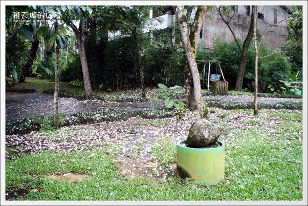 【南投旅遊景點】埔里牛耳藝術渡假村。2013桐花季最新花況 @飛天璇的口袋 【南投旅遊景點】埔里牛耳藝術渡假村。2013桐花季最新花況 @飛天璇的口袋