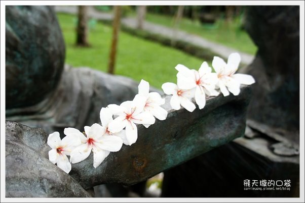 【南投旅遊景點】埔里牛耳藝術渡假村。2013桐花季最新花況 @飛天璇的口袋 【南投旅遊景點】埔里牛耳藝術渡假村。2013桐花季最新花況 @飛天璇的口袋