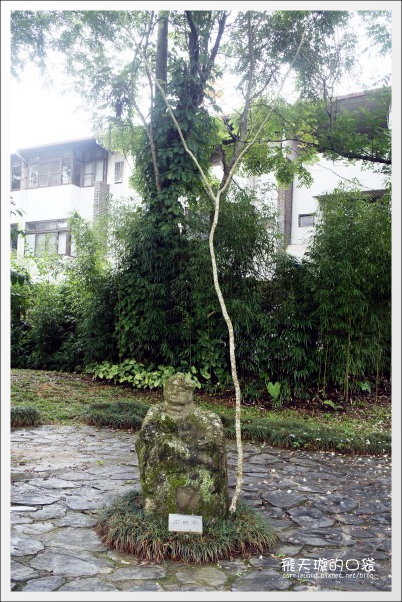 【南投旅遊景點】埔里牛耳藝術渡假村。2013桐花季最新花況 @飛天璇的口袋 【南投旅遊景點】埔里牛耳藝術渡假村。2013桐花季最新花況 @飛天璇的口袋