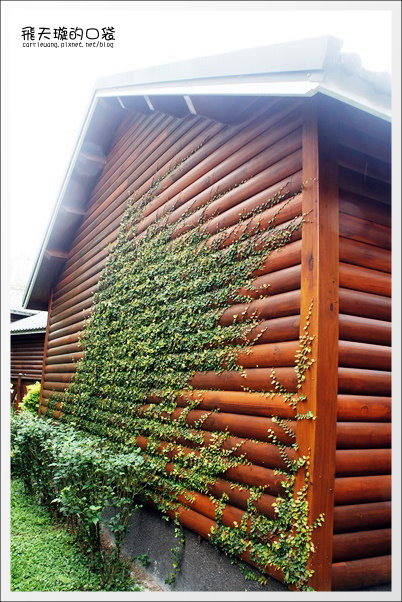 【南投旅遊景點】埔里牛耳藝術渡假村。2013桐花季最新花況 @飛天璇的口袋 【南投旅遊景點】埔里牛耳藝術渡假村。2013桐花季最新花況 @飛天璇的口袋