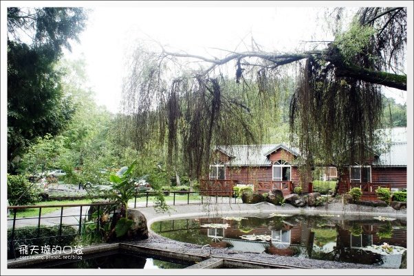 【南投旅遊景點】埔里牛耳藝術渡假村。2013桐花季最新花況 @飛天璇的口袋 【南投旅遊景點】埔里牛耳藝術渡假村。2013桐花季最新花況 @飛天璇的口袋