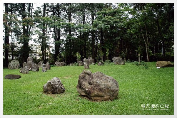 【南投旅遊景點】埔里牛耳藝術渡假村。2013桐花季最新花況 @飛天璇的口袋 【南投旅遊景點】埔里牛耳藝術渡假村。2013桐花季最新花況 @飛天璇的口袋