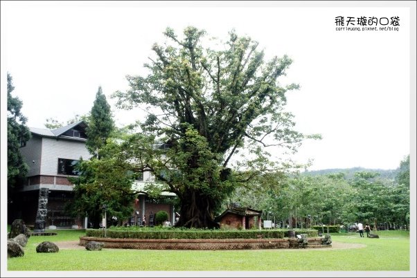 【南投旅遊景點】埔里牛耳藝術渡假村。2013桐花季最新花況 @飛天璇的口袋 【南投旅遊景點】埔里牛耳藝術渡假村。2013桐花季最新花況 @飛天璇的口袋