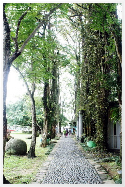 【南投旅遊景點】埔里牛耳藝術渡假村。2013桐花季最新花況 @飛天璇的口袋 【南投旅遊景點】埔里牛耳藝術渡假村。2013桐花季最新花況 @飛天璇的口袋