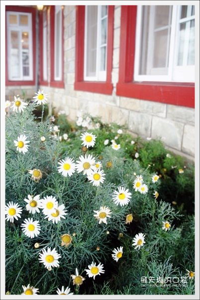 清境魯媽媽雲南擺夷料理|喝了會暖呼呼的牛肉趴呼湯~ @飛天璇的口袋 清境魯媽媽雲南擺夷料理|喝了會暖呼呼的牛肉趴呼湯~ @飛天璇的口袋