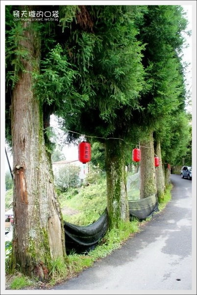 好雞婆土雞城|巴洛克帳篷景觀餐廳「好雞婆土雞城」,品嚐特色雲南擺夷料理 @飛天璇的口袋 好雞婆土雞城|巴洛克帳篷景觀餐廳「好雞婆土雞城」,品嚐特色雲南擺夷料理 @飛天璇的口袋