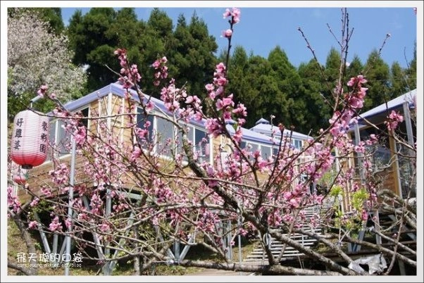 好雞婆土雞城|巴洛克帳篷景觀餐廳「好雞婆土雞城」,品嚐特色雲南擺夷料理 @飛天璇的口袋 好雞婆土雞城|巴洛克帳篷景觀餐廳「好雞婆土雞城」,品嚐特色雲南擺夷料理 @飛天璇的口袋