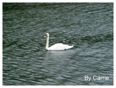 【桃園旅遊】大溪慈湖 @飛天璇的口袋 【桃園旅遊】大溪慈湖 @飛天璇的口袋