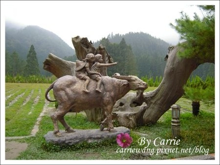 【南投旅遊】杉林溪森林遊樂區 @飛天璇的口袋 【南投旅遊】杉林溪森林遊樂區 @飛天璇的口袋