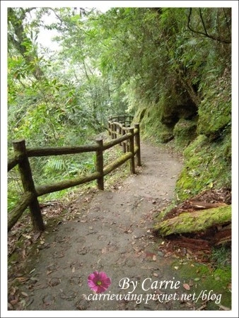 【南投旅遊】杉林溪森林遊樂區 @飛天璇的口袋 【南投旅遊】杉林溪森林遊樂區 @飛天璇的口袋