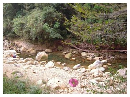 【南投旅遊】杉林溪森林遊樂區 @飛天璇的口袋 【南投旅遊】杉林溪森林遊樂區 @飛天璇的口袋