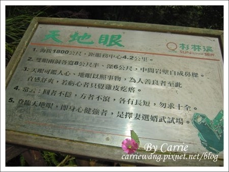 【南投旅遊】杉林溪森林遊樂區 @飛天璇的口袋 【南投旅遊】杉林溪森林遊樂區 @飛天璇的口袋