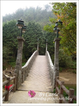 【南投旅遊】杉林溪森林遊樂區 @飛天璇的口袋 【南投旅遊】杉林溪森林遊樂區 @飛天璇的口袋