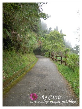 【南投旅遊】杉林溪森林遊樂區 @飛天璇的口袋 【南投旅遊】杉林溪森林遊樂區 @飛天璇的口袋