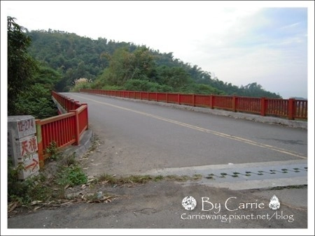 【南投旅遊】上山閱讀.咖啡 簡餐 下午茶 @飛天璇的口袋 【南投旅遊】上山閱讀.咖啡 簡餐 下午茶 @飛天璇的口袋
