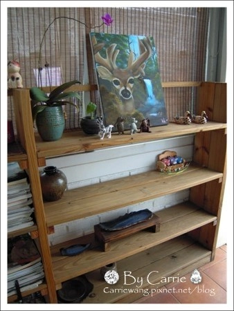 【南投旅遊】上山閱讀.咖啡 簡餐 下午茶 @飛天璇的口袋 【南投旅遊】上山閱讀.咖啡 簡餐 下午茶 @飛天璇的口袋