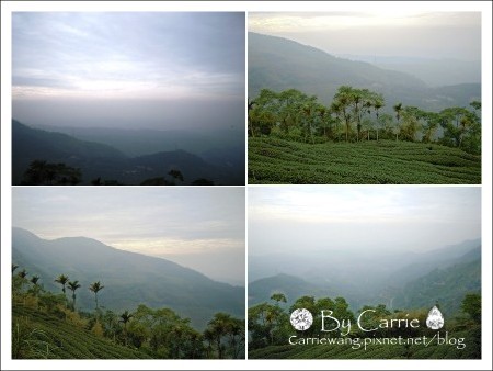 【南投旅遊】上山閱讀.咖啡 簡餐 下午茶 @飛天璇的口袋 【南投旅遊】上山閱讀.咖啡 簡餐 下午茶 @飛天璇的口袋