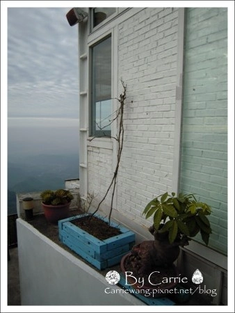 【南投旅遊】上山閱讀.咖啡 簡餐 下午茶 @飛天璇的口袋 【南投旅遊】上山閱讀.咖啡 簡餐 下午茶 @飛天璇的口袋