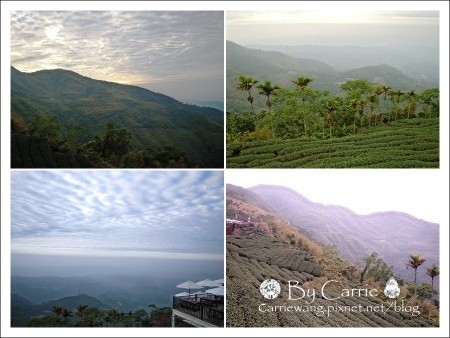 【南投旅遊】上山閱讀.咖啡 簡餐 下午茶 @飛天璇的口袋 【南投旅遊】上山閱讀.咖啡 簡餐 下午茶 @飛天璇的口袋