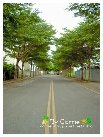 阿枝羊肉爐|溪湖必吃羊肉爐,名氣最大首推阿枝羊肉爐 @飛天璇的口袋 阿枝羊肉爐|溪湖必吃羊肉爐,名氣最大首推阿枝羊肉爐 @飛天璇的口袋