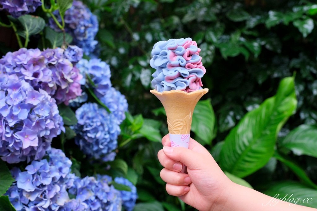 苗栗卓蘭｜花露休閒農場．4~6月繡球花季，全台唯一繡球花小火車，夢幻繡球花冰淇淋 @飛天璇的口袋