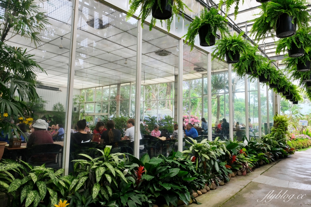 苗栗卓蘭｜花露休閒農場．4~6月繡球花季，全台唯一繡球花小火車，夢幻繡球花冰淇淋 @飛天璇的口袋