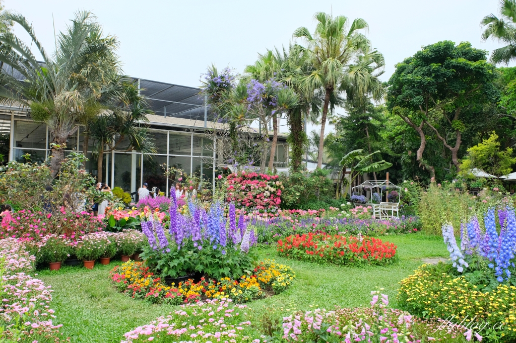 苗栗卓蘭｜花露休閒農場．4~6月繡球花季，全台唯一繡球花小火車，夢幻繡球花冰淇淋 @飛天璇的口袋