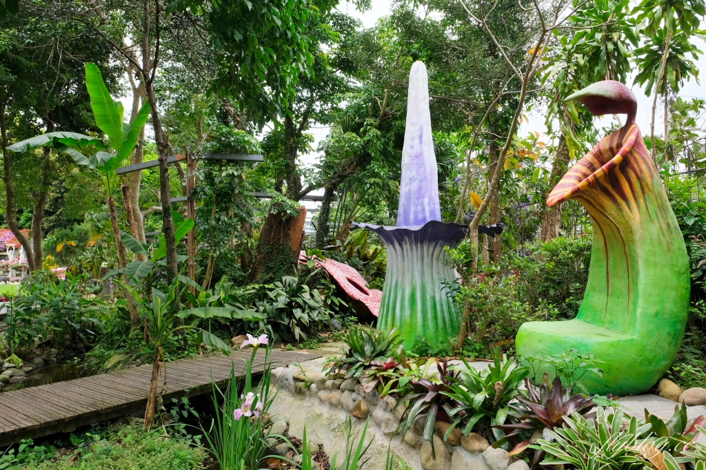 苗栗卓蘭｜花露休閒農場．4~6月繡球花季，全台唯一繡球花小火車，夢幻繡球花冰淇淋 @飛天璇的口袋