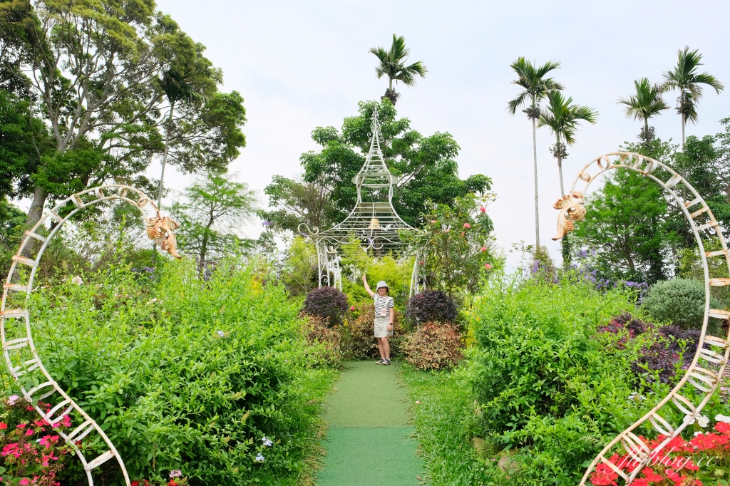 苗栗卓蘭｜花露休閒農場．4~6月繡球花季，全台唯一繡球花小火車，夢幻繡球花冰淇淋 @飛天璇的口袋