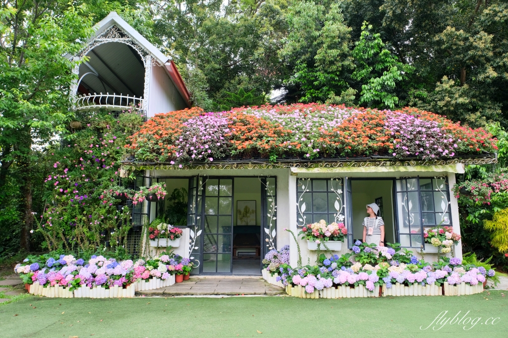 苗栗卓蘭｜花露休閒農場．4~6月繡球花季，全台唯一繡球花小火車，夢幻繡球花冰淇淋 @飛天璇的口袋