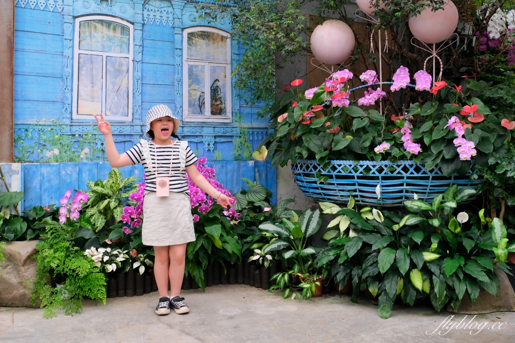 苗栗卓蘭｜花露休閒農場．4~6月繡球花季，全台唯一繡球花小火車，夢幻繡球花冰淇淋 @飛天璇的口袋
