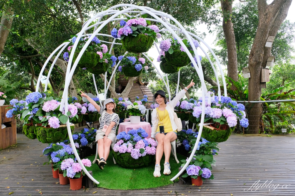苗栗卓蘭｜花露休閒農場．4~6月繡球花季，全台唯一繡球花小火車，夢幻繡球花冰淇淋 @飛天璇的口袋