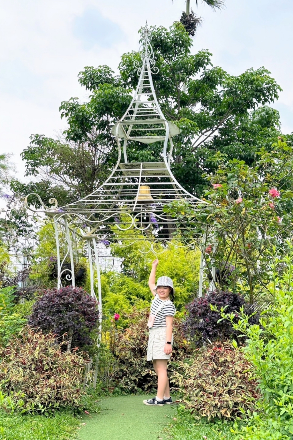 苗栗卓蘭｜花露休閒農場．4~6月繡球花季，全台唯一繡球花小火車，夢幻繡球花冰淇淋 @飛天璇的口袋