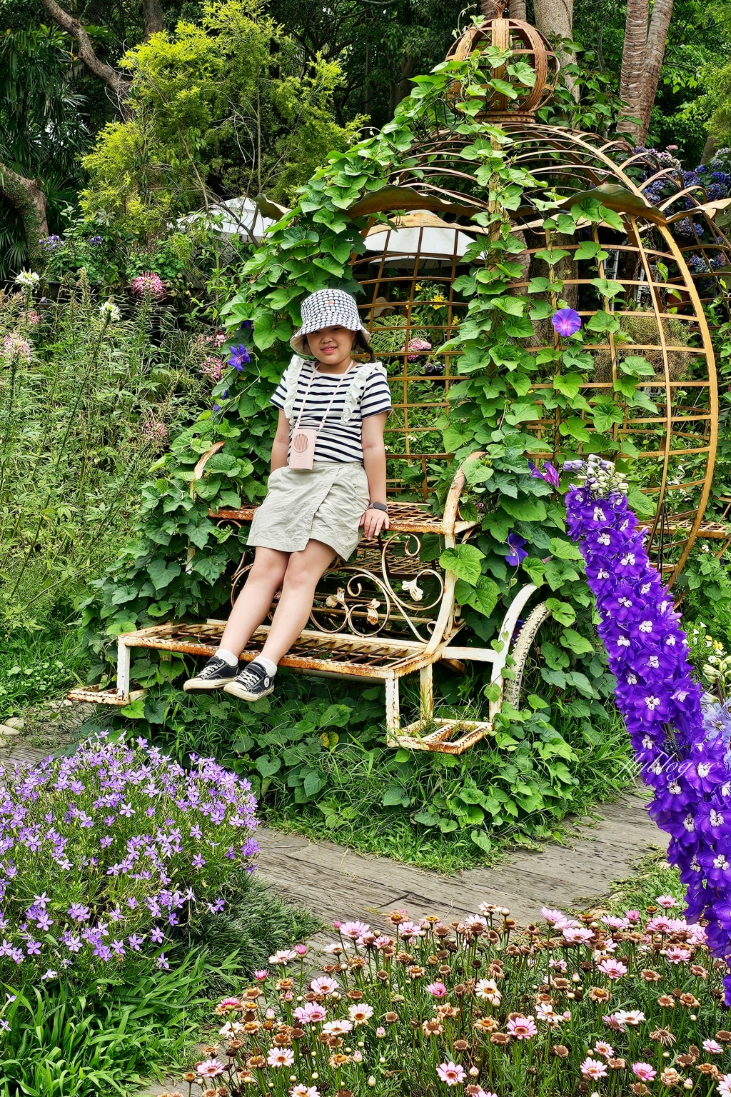 苗栗卓蘭｜花露休閒農場．4~6月繡球花季，全台唯一繡球花小火車，夢幻繡球花冰淇淋 @飛天璇的口袋