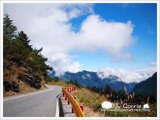 花蓮旅遊｜台中-花蓮｜遇見中橫公路之美．全台最美麗的公路 @飛天璇的口袋