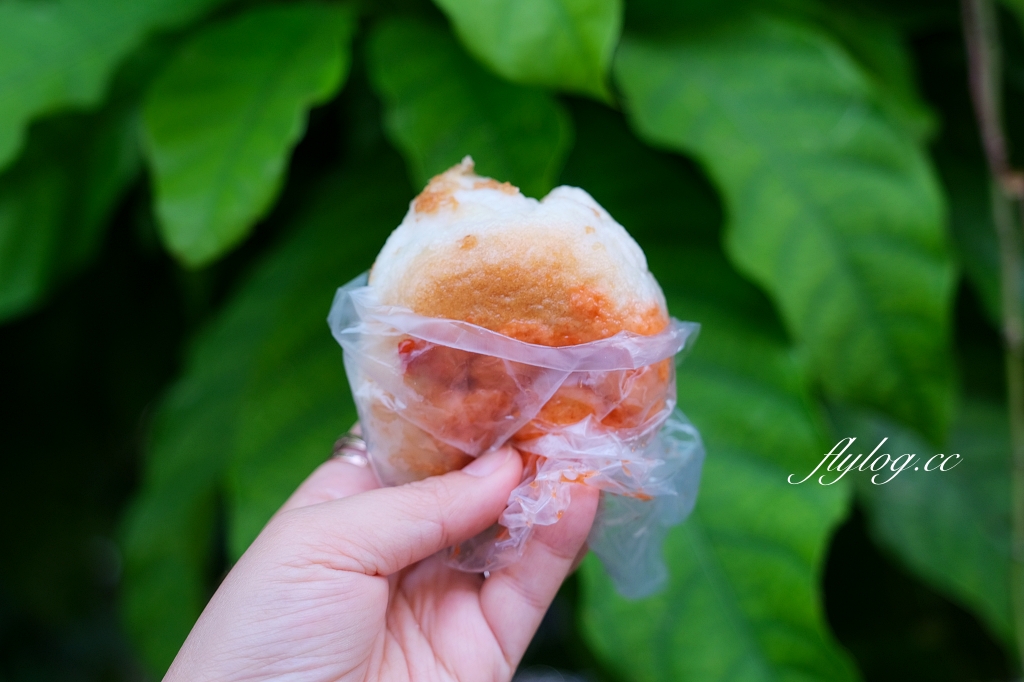 台中北區｜科博館水煎包，在地50年的老店，台中銅板美食推薦 @飛天璇的口袋