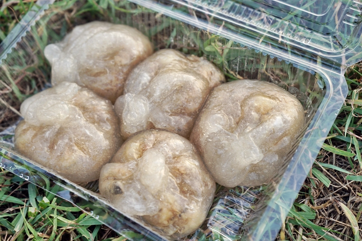 嘉義東區｜北回水晶餃．榮獲台灣500碗推薦，個人到嘉義的必吃美食 @飛天璇的口袋