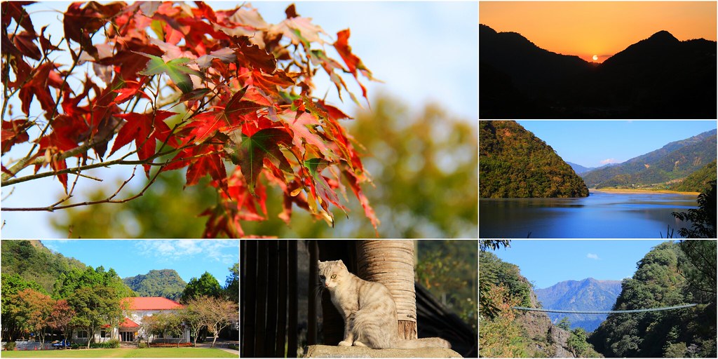 南投一日遊：奧萬大賞秋楓，南投最後一片淨土武界部落，在地隱藏版溫泉春陽部落 @飛天璇的口袋