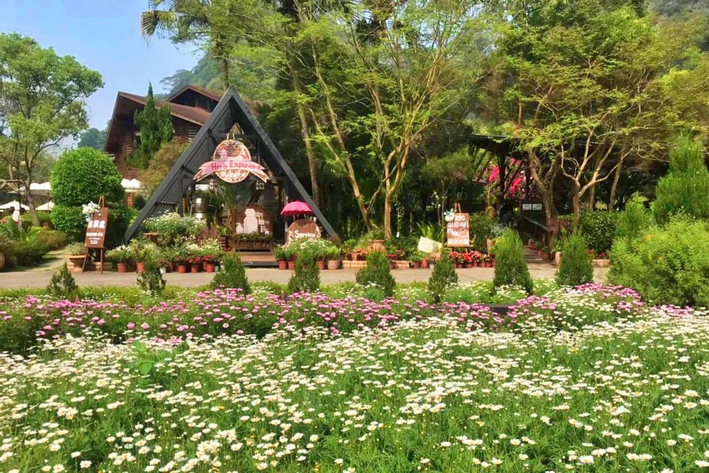 台中新社|安妮公主花園|新社浪漫的粉紅景觀餐廳,親子、情侶假日休閒的好去處 @飛天璇的口袋 台中新社|安妮公主花園|新社浪漫的粉紅景觀餐廳,親子、情侶假日休閒的好去處 @飛天璇的口袋