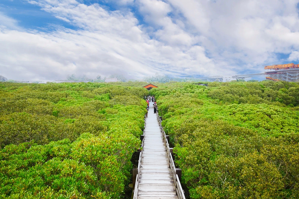 【新竹新豐】新豐紅樹林綠色步道：兼具休閒與觀光的生態保護區，走在被大自然包圍的綠色小隧道 @飛天璇的口袋