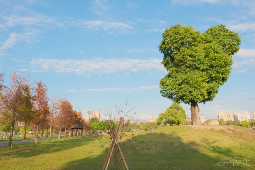 台中北屯｜南興公園．米奇樹IG打卡新亮點！北屯萬坪公園，浪漫落羽松大道 @飛天璇的口袋