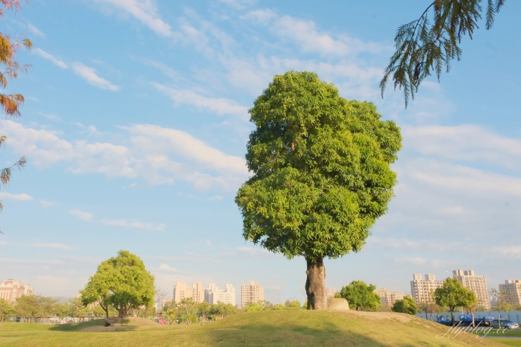 台中南屯｜黎新公園，可愛的大西瓜攀架共融式公園，台中南屯最佳大自然生態教室 @飛天璇的口袋